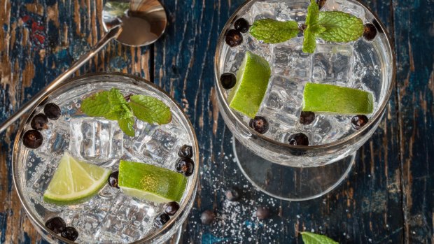 Gin and Tonics with Juniper Berries 