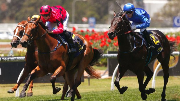 Gold Coast calling: Secret Lady strides to victory in the Golden Gift at Rosehill.