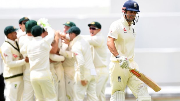Run of outs: Cook departs to the delight of the Australians.