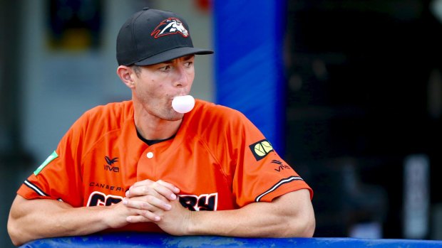 Canberra Cavalry manager Michael Collins. Photo: Joe Vella SMP Images / ABL Media