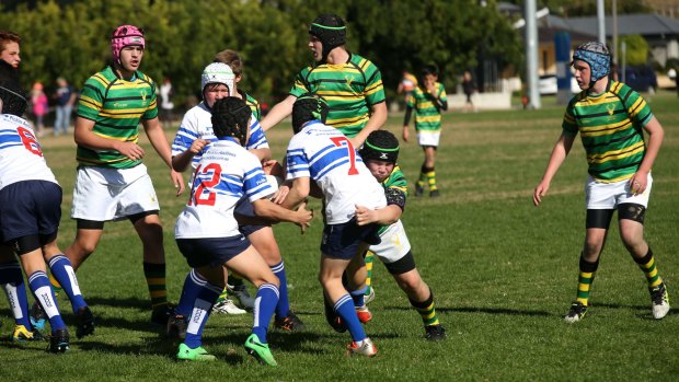 Players in the NSW Junior Rugby State Championships at Drummoyne on Saturday.