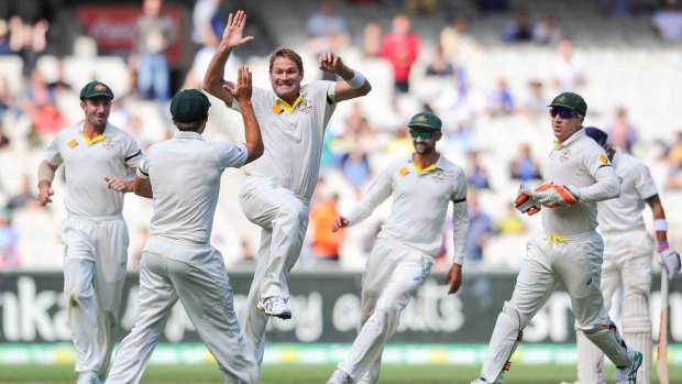 Pain no barrier: Ryan Harris celebrates a wicket in the recent Test series against India.