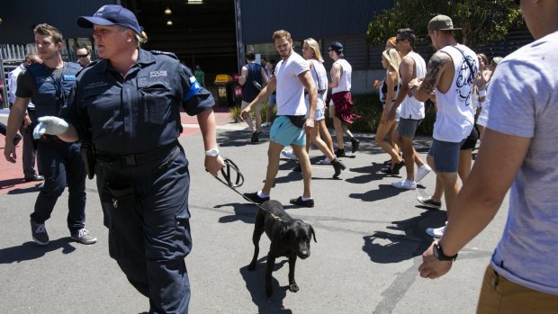 Police used sniffer dogs as partygoers arrived at the Stereosonic festival in Melbourne. 
