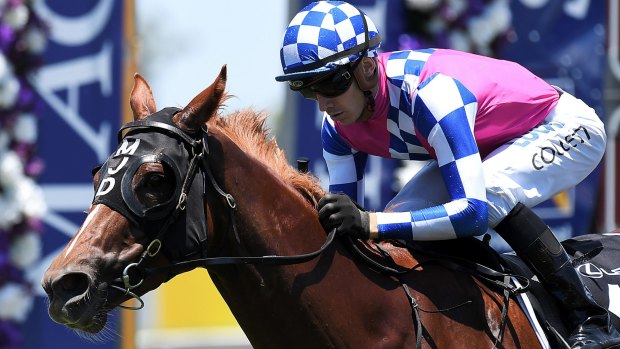 Zafina was meant to be in foal, but was instead winning a $250,000 race on the Gold Coast.
