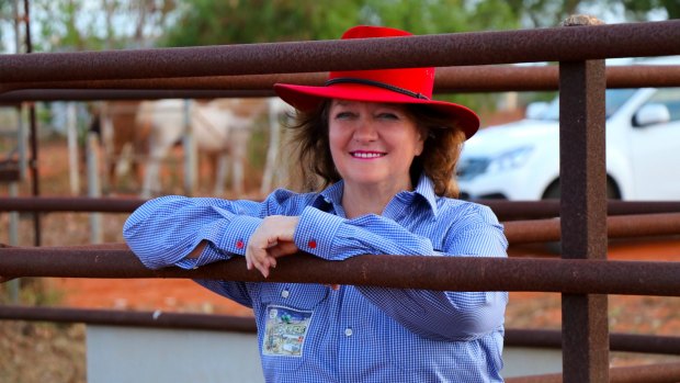 Hancock Prospecting chairwoman Gina Rinehart may be a potential buyer.