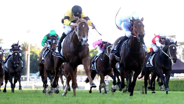 Serious contender: Wouldnt It Be Nice wins the June Stakes at Randwick last year.