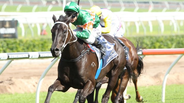 Canberra horse Maryore is set to run on Melbourne Cup day.