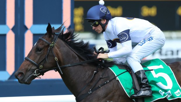 Everest favourite: She Will Reign has Corey Brown counting the days to the Everest