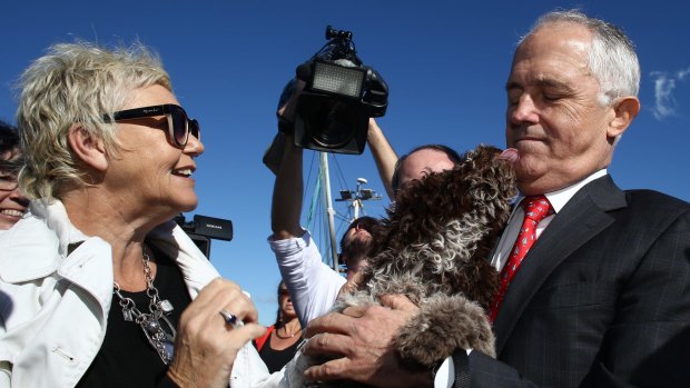 Malcolm Turnbull is licked by Brando the dog on the campaign trail on the NSW south coast on Monday.
