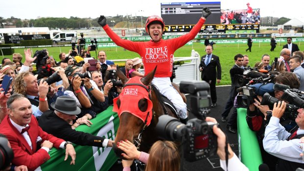 Centre of attention: Redzel's win in The Everest at Randwick has almost guaranteed Snitzel the stallions' title.