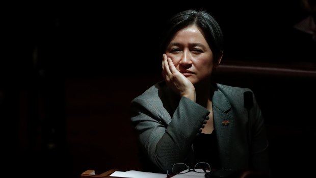 Leader of the Opposition in the Senate, Penny Wong, during a divison on amendments on the Marriage Amendment Bill on Tuesday.