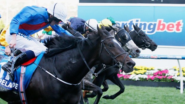 Last to first: Adelaide and Ryan Moore take out the Cox Plate at Moonee Valley on Saturday.