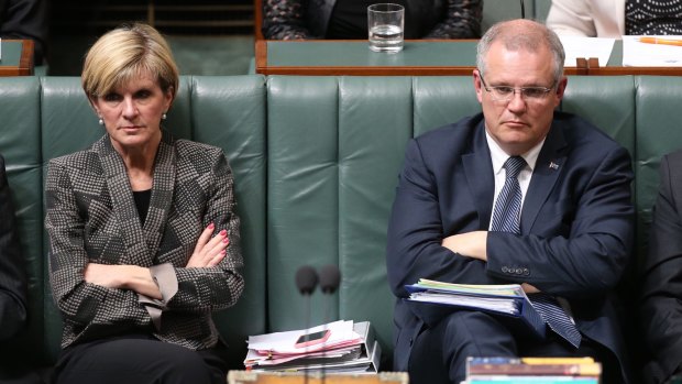 Ms Bishop's support for the principle of the reform means Scott Morrison is the only potential Liberal leadership contender who opposes allowing gay couples to marry.