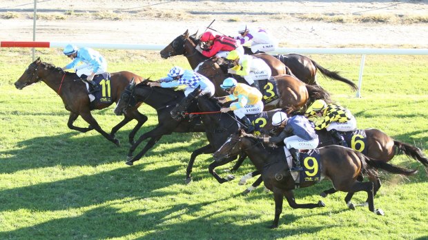 Making memories: Jockey Jay Ford rides Shazee Lee to win the Hawkesbury Guineas on Saturday.