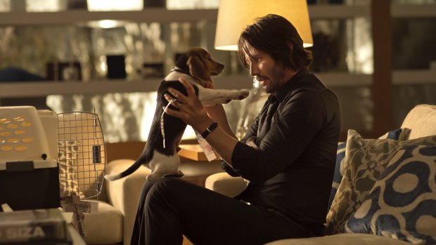 Puppy love: Keanu Reeves' rage is triggered in <i>John Wick</i>.