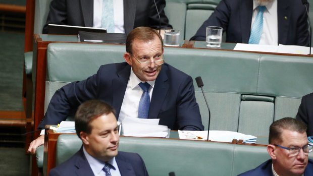 Tony Abbott's proposal to reduce immigration, close the Human Rights Commission and cut subsidies for solar and wind energy triggered a flood of support from Liberals.