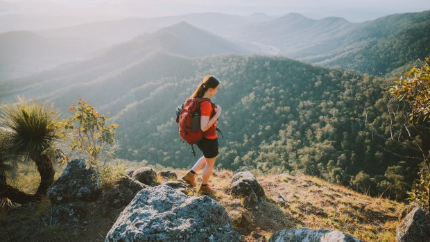 Forget the beach, the Gold Coast's real highlight is the hinterland.