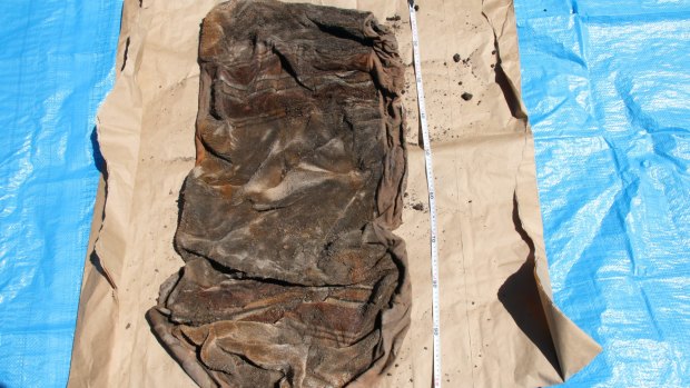 Police have released images of the car seat covers dumped with Mr Youngkin's body inside the Brighton septic tank.