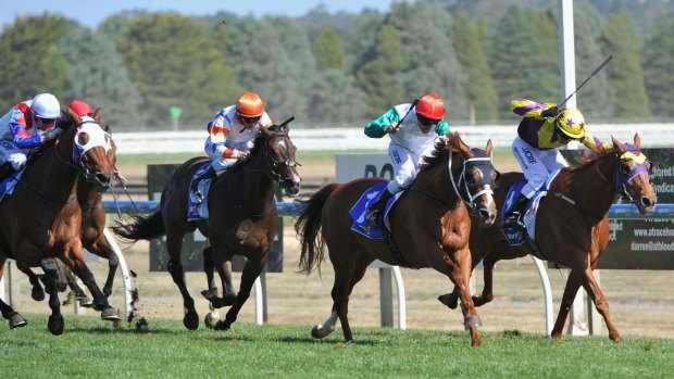 Brad Rawiller riding Junoob (red cap) defeats Chris Symons riding Sonntag in the 2015 Ballarat Cup. This year's edition provides value for punters.