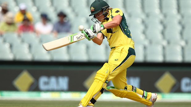 Alyssa Healy made a courageous 41.