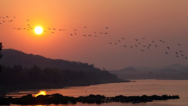 Birds at sunset, on the Mekong River.