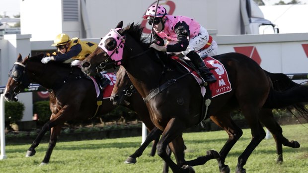 On the limit: Dublin Lass scores on Queensland Oaks day during the Brisbane carnival.