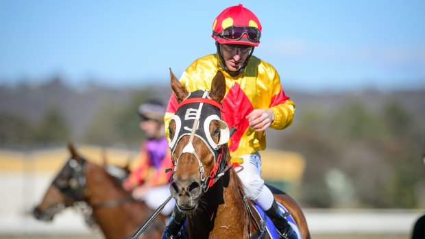 Damagic was one of two winners for Barbara Joseph and Paul Jones at Canberra on Friday.