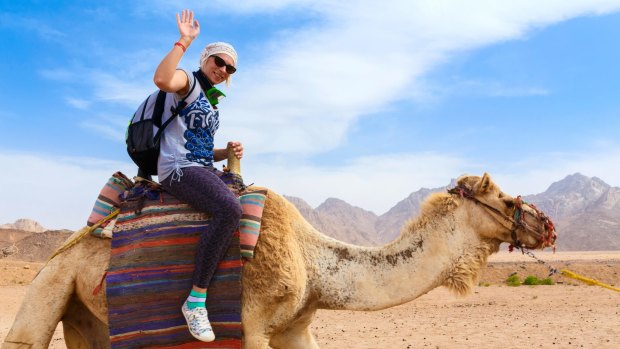 Camel riding in Egypt: A most uncomfortable means of transport.