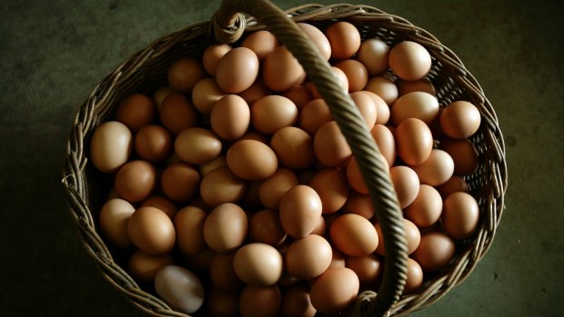Diversification is essential to reduce risk in investment ... don't put all your eggs in one basket.