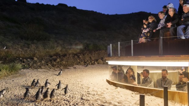 The $58 million Penguin Parade visitor centre on Victoria's Phillip Island.