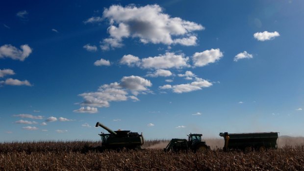 Harvesters process corn on the Liverpool Plains, where a major coal mine won federal approval.
