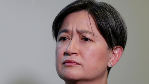 "New enrolments are lower than I would like": Labor foreign affairs spokesman Penny Wong.