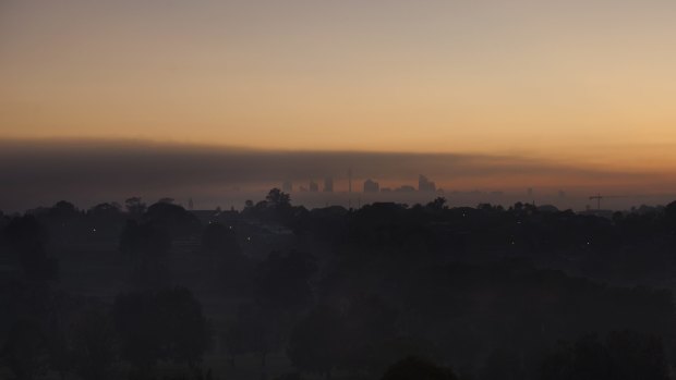 Sydney woke up to a thick fog and cold morning on Saturday.