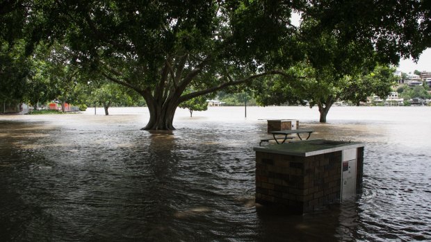 New Farm Park Brisbane 2011 flood