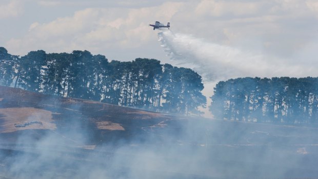 A plane dumps water over the Tarago fire on Tuesday.
