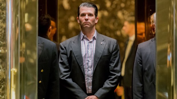 Donald Trump jnr jumped in to defend his father on Twitter during James Comey's testimony.