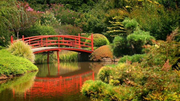 The Japanese Gardens in Toowoomba.