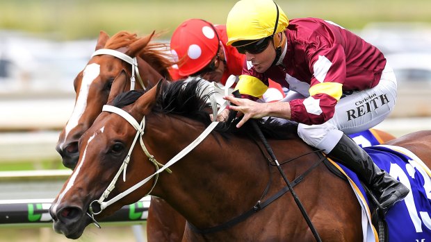 On a mission: Meryl lines up in the Magic Millions Classic also chasing the women's bonus