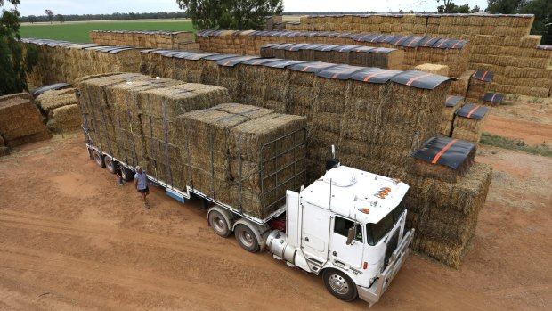 Farmer Brendan Farrell has been running loads of hay to drought stricken farmers in Queensland to help feed their livestock.