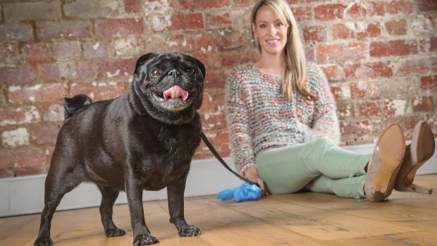 Amanda Campbell has pet insurance for Henry, her six-year-old pug.