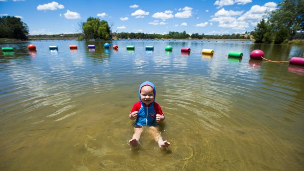 Dominic Gruzas,18 months, enjoys a dip at the western foreshore of Lake Ginninderra.
