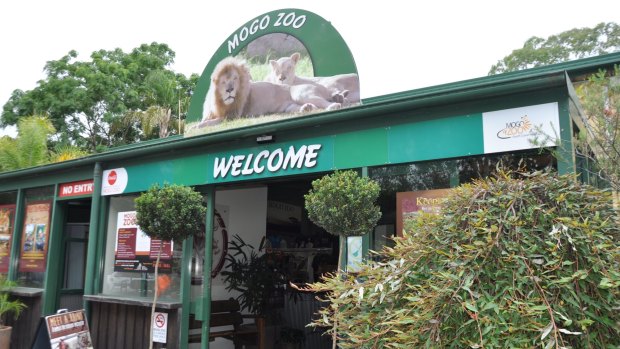 Mogo Zoo on the South Coast remains open.