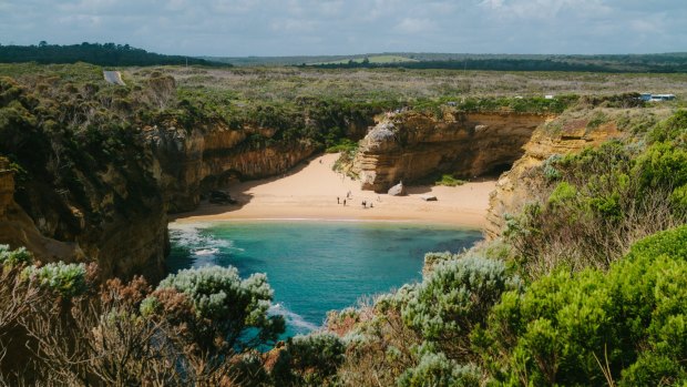 As well as spectacular coastal scenery, the Great Ocean Road is superb for spotting wildlife.