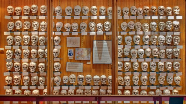 A cabinet of skulls in the Mütter Museum of The College of Physicians of Philadelphia.
