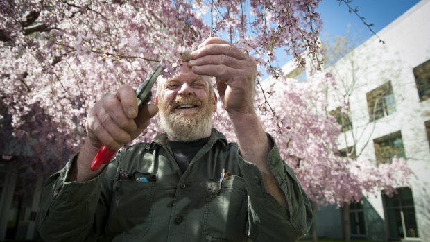 Parliament House gardener Wayne Roach will lead tours of the gardens and courtyards.