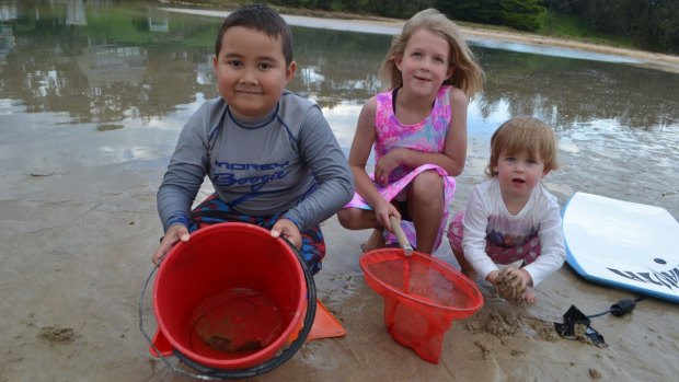 A Canberra family found a blue-ringed octopus at Broulee (from left) Angus McGregor, 6, with cousins Lily, 7, and Brook McGregor, 2.