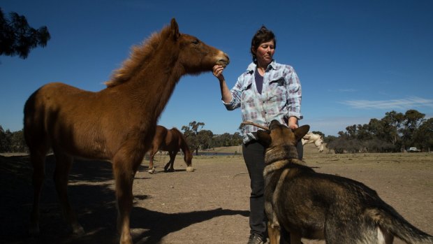 Lisa Burgess, who is a full-time carer of her mother, looks after brumbies on her property in Barnaby Joyce's electorate of New England.