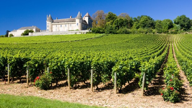 The French countryside is raked with vineyards.