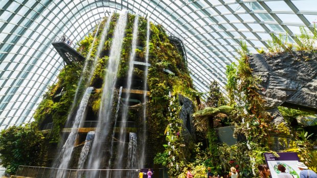 The giant waterfall in the Cloud Forest Dome.