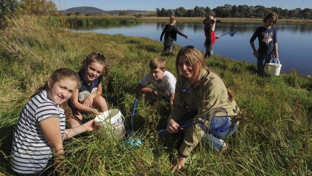 At the Jerrabomberra Wetlands, Lori Gould, program manager of the Woodlands and Wetlands Trust, front right, with children from the Young Rangers Program. Rear from left, Lily Mills, Kelly Bateup and Sophie Mills. Front from left Olivia Bateup, Amber Graham and Connor Graham.
